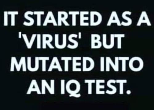 IMG-29c130960132f02729f92a95fd952966-V