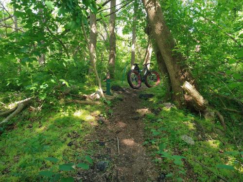 dea4e4b0-6efb-4d32-867e-ce94012ca0b6