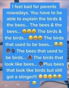 435C1E59-537A-4D12-BF0F-5BFEFEB93642-31067-000015084CCD539C