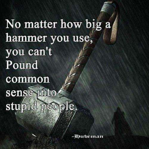 2e817457-4acf-4c47-8d76-9e3a55c48a61