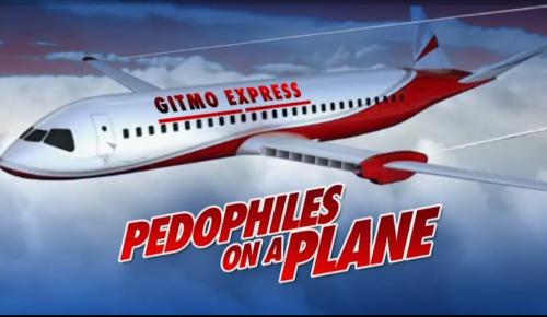 Pedophiles On A Plane