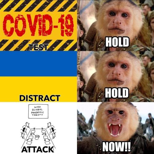 Screenshot_20220525-004624_Instagram