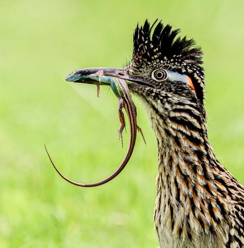 284076057_4605803446187298_7259177122076411038_n