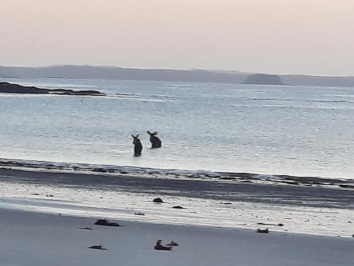 b6cfc975-c3d8-40f3-a10a-8afdfaa037be