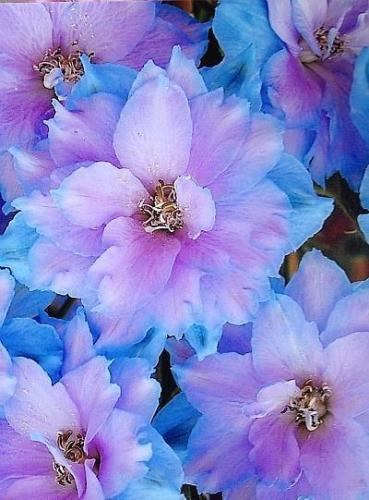 19:26:43 GMT-0500 (CDT)