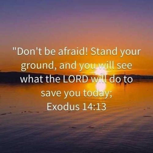 8a81cd06-7e7a-46c0-91db-30808cac5d02