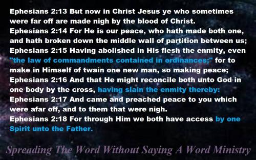 13173062_1053266724755458_5854344597447402581_o