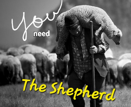 Screenshot_20220525-072329_DuckDuckGo