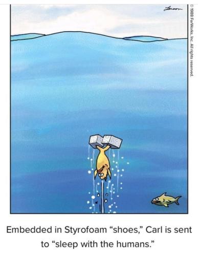 280267209_8298408796851203_7404072232148749924_n