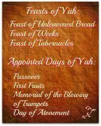 86fe587e-0e02-41b3-95cb-ff8351c9f059