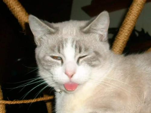 FB_IMG_1652669434386