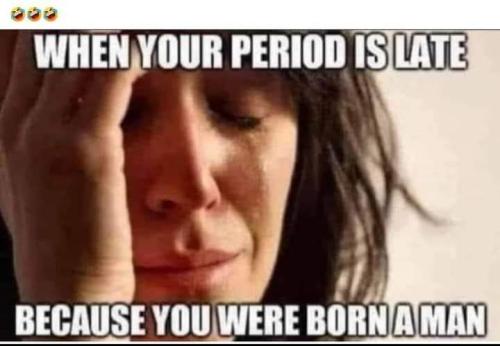 FB_IMG_1653141359002