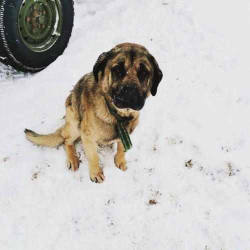 451f99be-a9bd-4285-b516-6fc90bffcce8