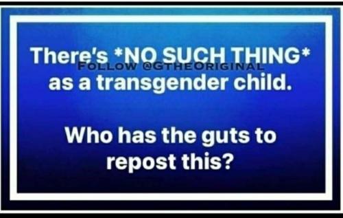 e0cd8498-5895-4c76-b86f-b7dd5976b3dc