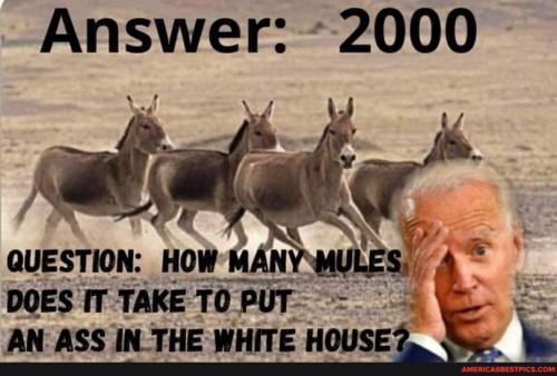 34634552-baf9-4fac-a1d7-feae164a33a2