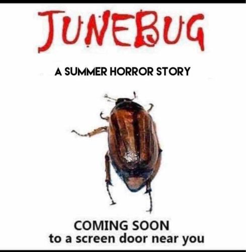 55a1fc07-2e7c-4b6d-9b65-be7b51bf291d