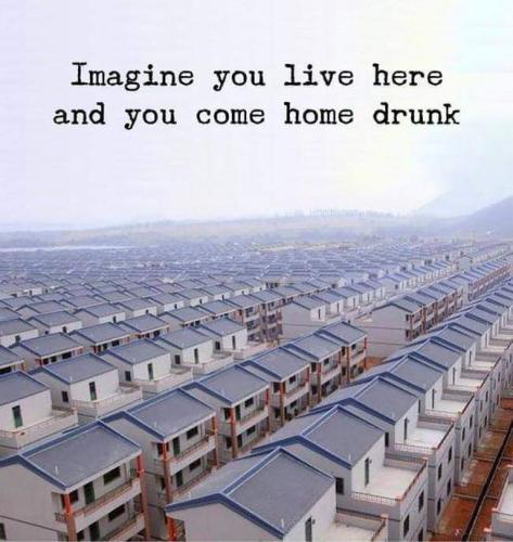 FB_IMG_1653588451607