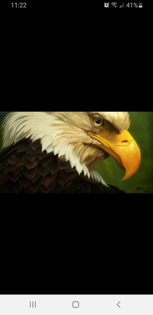 49d5ee2d-8d0e-4944-9c04-370109e13a9e