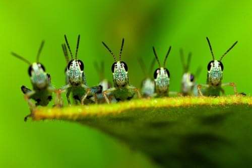 21:16:28 GMT-0500 (CDT)