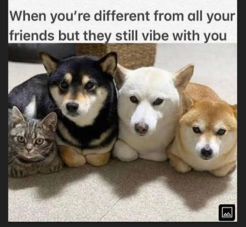 3777a156-e450-4711-97f2-771a76a75e25