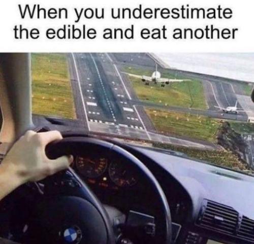 when you underestimate the edible