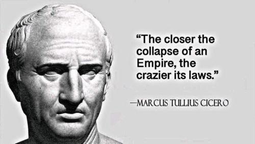 278032278_411596000779701_8549450638894606359_n