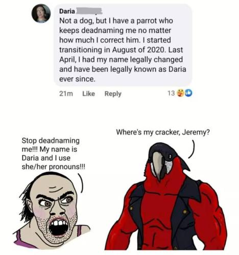 Come On, MEMES! (43)