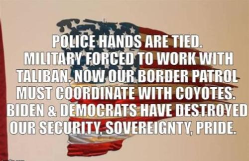 077a011d-bc1b-4532-9fc1-9163e357892c