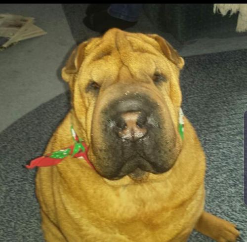 9fa06132-814f-4054-b03d-65725b6994ed