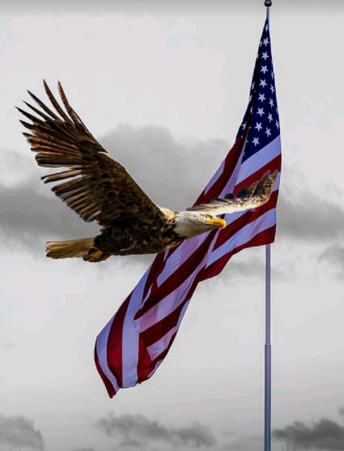 1649410288147_hub_od_