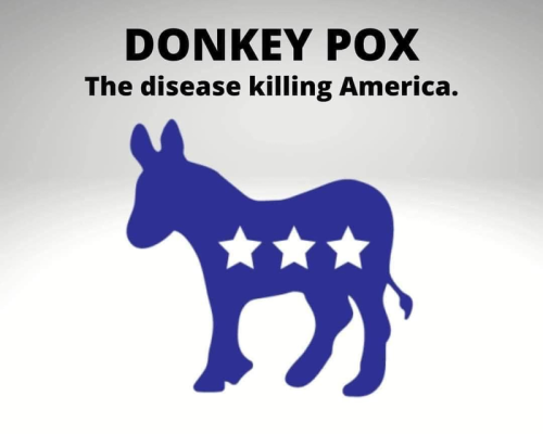 Donkey pox