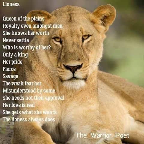 74f01f02-5653-497e-91f2-1b270e26af2b