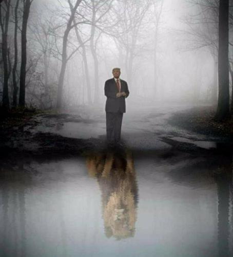 54a74cba-d372-4329-91af-483521d90a1f