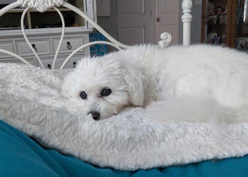 PXL_20220410_165952309