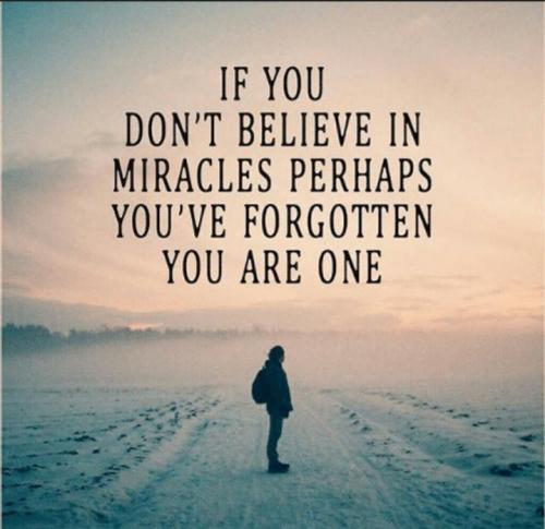 9b445ab8-dce4-42fa-814b-cc0b7c781b16