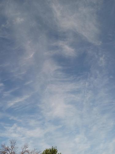 ce4a6169-2d91-4771-ba0e-7db0c3e16fa5