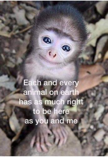 a624b60c-58a1-42a7-8fc2-701167b782c5