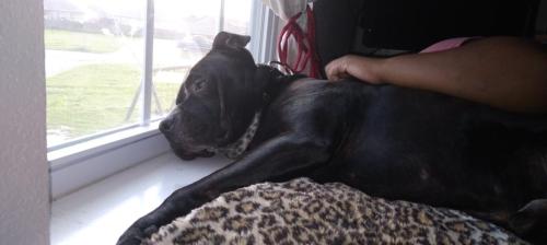 bc8f3676-1435-4c00-82e5-7a83b1dd6c7f