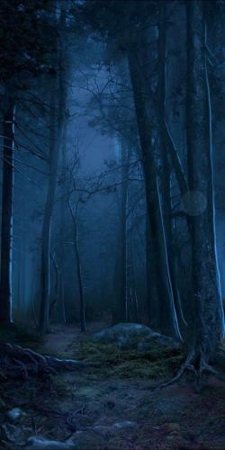 19:45:50 GMT-0500 (CDT)