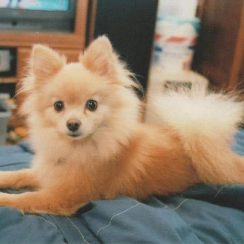 FB_IMG_1548364635111