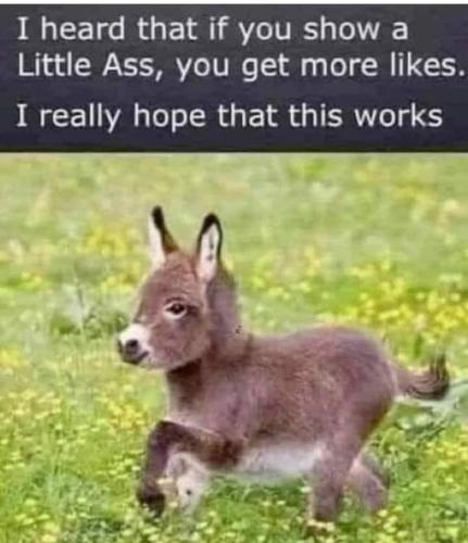 e0726aae-d127-48a8-ad41-48c682e65caf