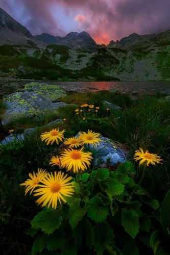 21:01:56 GMT-0500 (CDT)