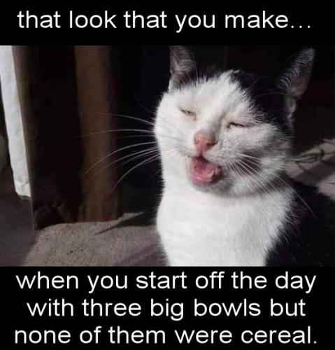 when you start out the day with three big bowls