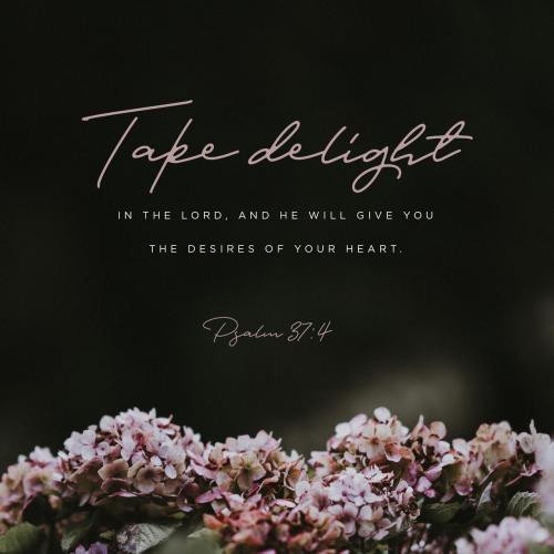 d23efb17-4f4c-4782-8c12-977dcfa8c307