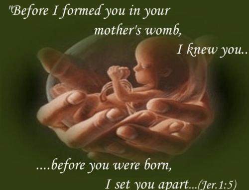 8084bc77-c436-4e71-a728-8469da573827