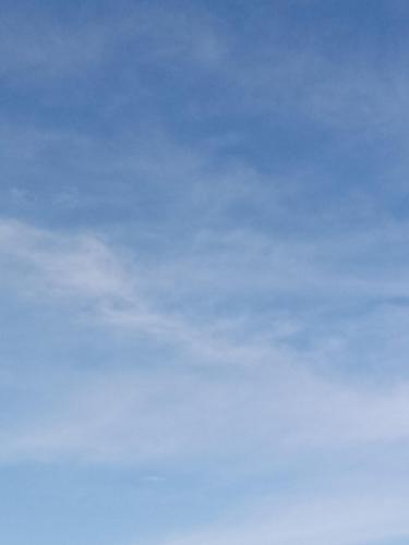 e897df8b-5907-4e89-b1f6-85a02de2498a