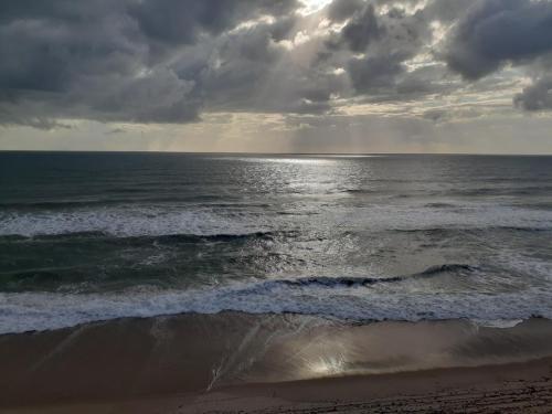 3c413a75-0285-4ed4-9424-32d50c3577e1