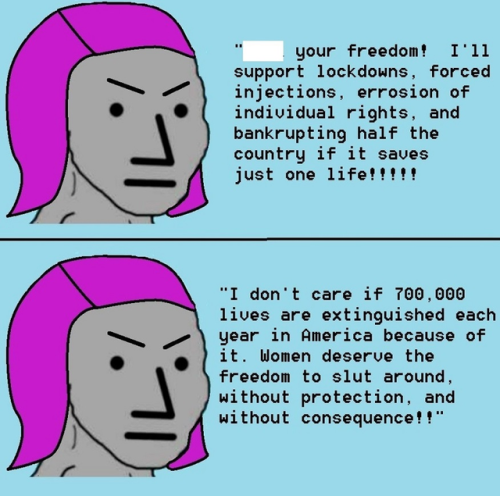 iv5adyvpw0091