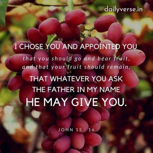 FB_IMG_1653577617136