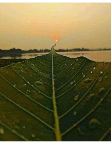 07bbe50a-4c2f-4642-a548-4bcc2e929496